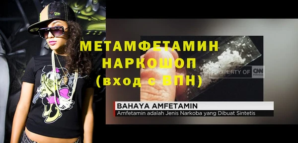 сатива Абинск
