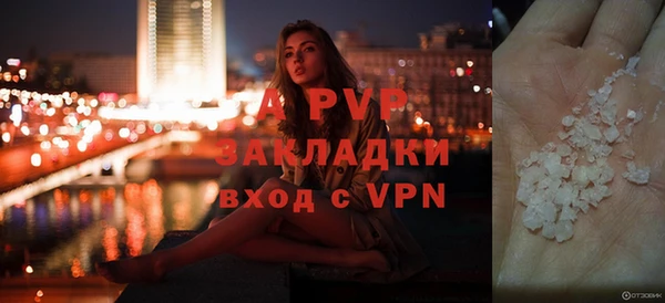 сатива Абинск