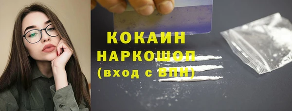сатива Абинск