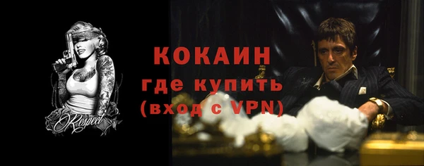 хмурый Абаза