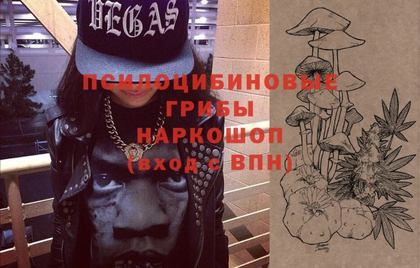 хмурый Абаза