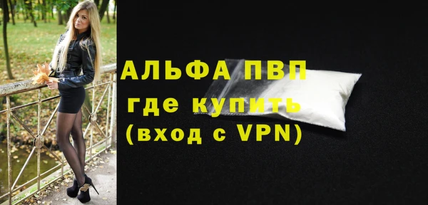хмурый Абаза